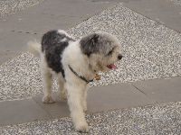 0724_004.JPG (123966 bytes)