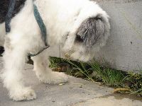 0724_018.JPG (110377 bytes)