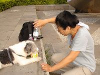 0724_023.JPG (112310 bytes)