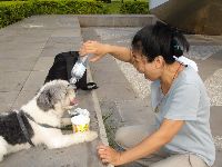 0724_024.JPG (114350 bytes)