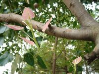 0731_005.JPG (123876 bytes)