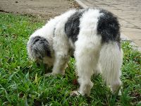 0731_012.JPG (141847 bytes)