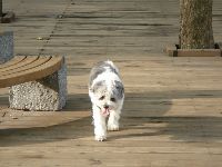 0731_031.JPG (99417 bytes)