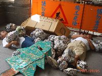 Action_039.JPG (150842 bytes)