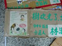 activities_027.JPG (128805 bytes)