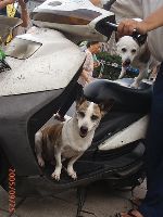 0925_013.JPG (68008 bytes)