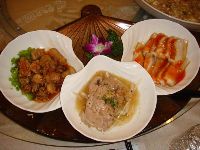 Ocean voice_050.JPG (64233 bytes)