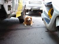 jheng-ren_035.JPG (111138 bytes)