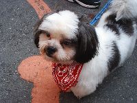 jheng-ren_051.JPG (140576 bytes)