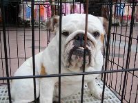 1106_002.JPG (75716 bytes)