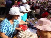 1106_005.JPG (85419 bytes)