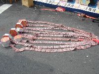 1106_033.JPG (96448 bytes)