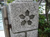 1218_037.JPG (126922 bytes)