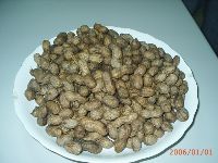 0101_016.JPG (108570 bytes)