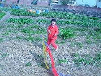 0109_002.JPG (123281 bytes)