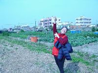 0109_003.JPG (83842 bytes)