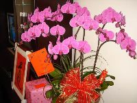 0109_008.JPG (72901 bytes)