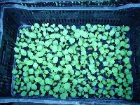 0109_029.JPG (109591 bytes)