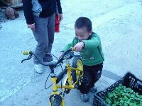 0109_030.JPG (74130 bytes)