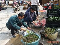 0109_048.JPG (168043 bytes)