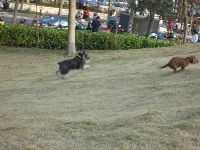 0114_030.JPG (100479 bytes)