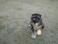 0114_031.JPG (102511 bytes)