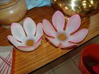 0115_012.JPG (60319 bytes)