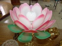 0115_032.JPG (47275 bytes)