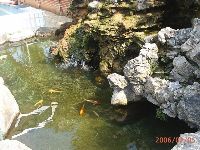 0205_010.JPG (164718 bytes)