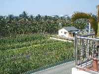 0205_015.JPG (173661 bytes)