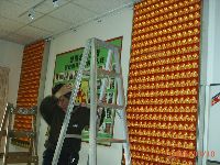 0310_003.JPG (150484 bytes)