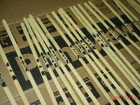 0310_010.JPG (143280 bytes)