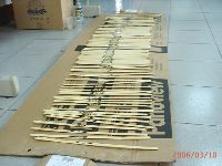 0310_011.JPG (100493 bytes)