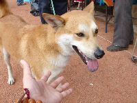 0423_008.JPG (73149 bytes)