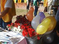 0514_072.JPG (135466 bytes)