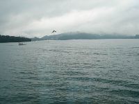 nantou_008.JPG (48566 bytes)