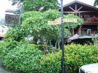 nantou_023.JPG (130608 bytes)