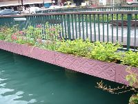 nantou_034.JPG (85821 bytes)