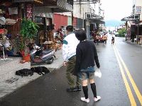 nantou_047.JPG (76723 bytes)