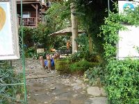 nantou_048.JPG (96975 bytes)