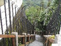 nantou_049.JPG (182464 bytes)