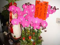 0528_002.JPG (72757 bytes)