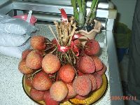 0611_009.JPG (131084 bytes)