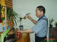 0611_012.JPG (121010 bytes)