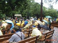 0611_034.JPG (163988 bytes)