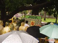 0611_042.JPG (123648 bytes)