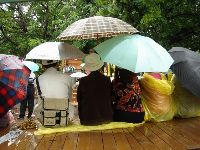 0611_052.JPG (83674 bytes)