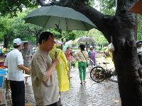 0611_056.JPG (88286 bytes)