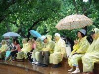 0611_059.JPG (102806 bytes)