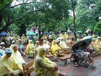 0611_065.JPG (117341 bytes)